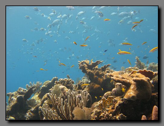 shallows at wreck